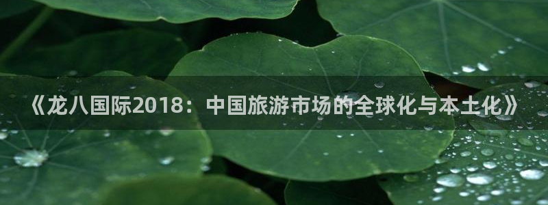 永利皇官体育凯捷平台注册：《龙八国际2018：中国旅游市场的全球化与本土化》