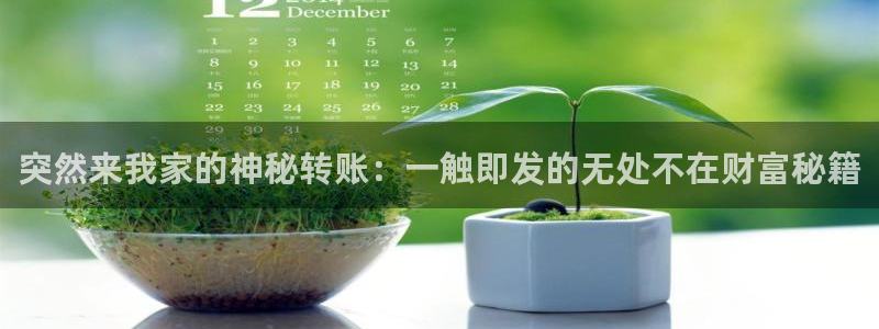永利皇官体育代理