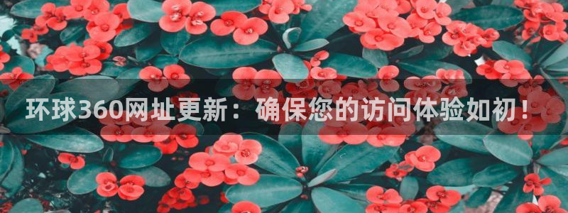 永利皇官：环球360网址更新：确保您的访问体验如初！