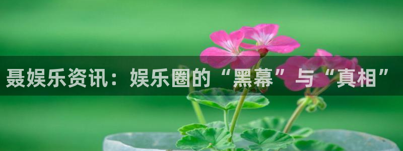 永利皇官f平台注册：聂娱乐资讯：娱乐圈的“黑幕”与“真相”