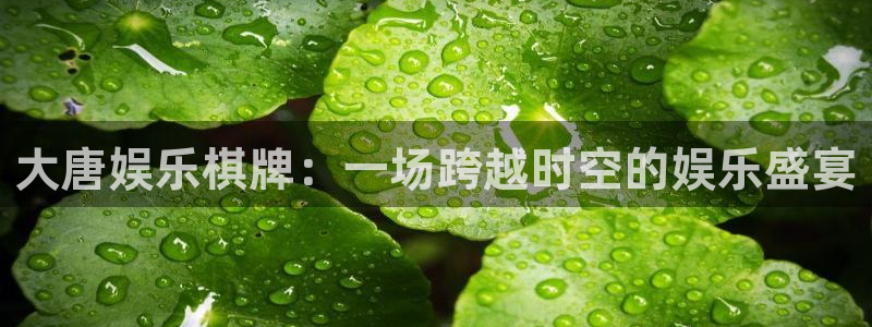 永利皇官体育2官网入口：大唐娱乐棋牌：一场跨越时空的娱乐盛宴