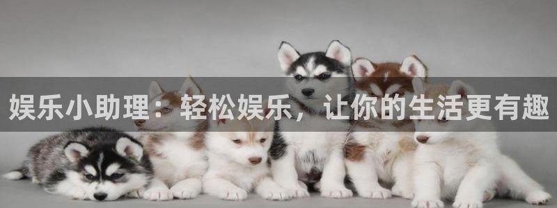 永利皇官体育免费注册入口：娱乐小助理：轻松娱乐，让你的生活更有趣
