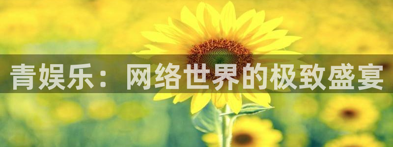 永利皇官体育娱乐注册链接：青娱乐：网络世界的极致盛宴