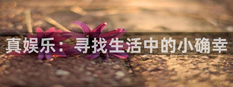 永利皇官体育代理：真娱乐：寻找生活中的小确幸