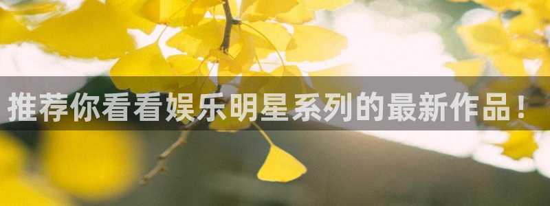 永利皇官平台总代理：推荐你看看娱乐明星系列的最新作品！