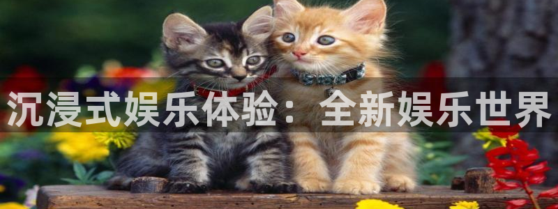 永利皇官注册：沉浸式娱乐体验：全新娱乐世界