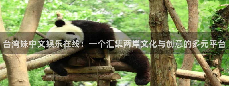永利皇官体育老板是谁：台湾妹中文娱乐在线：一个汇集两岸文化与创意的多元平台