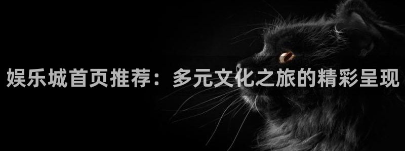 永利皇官体育官网入口登录：娱乐城首页推荐：多元文化之旅的精彩呈现