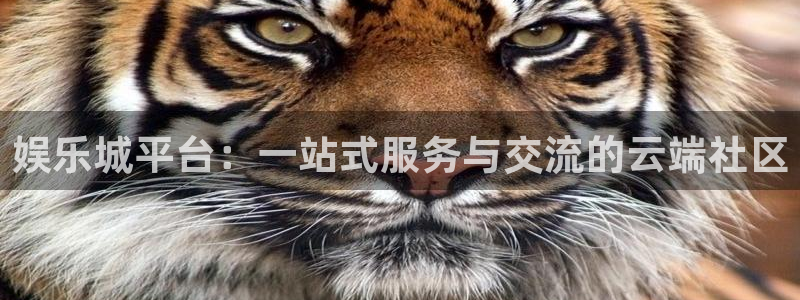 永利皇官4注册：娱乐城平台：一站式服务与交流的云端社区