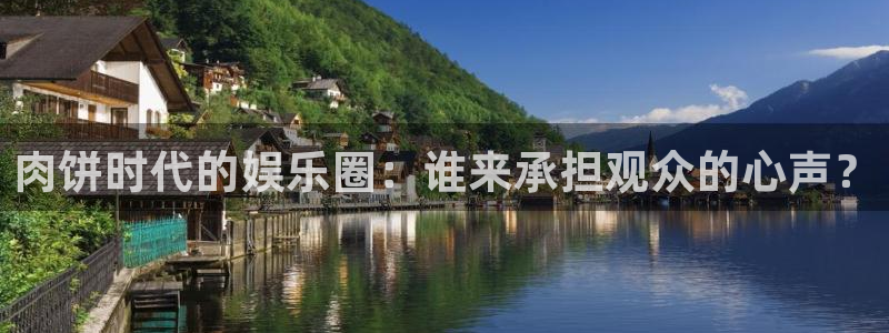 永利皇官体育游戏：肉饼时代的娱乐圈：谁来承担观众的心声？