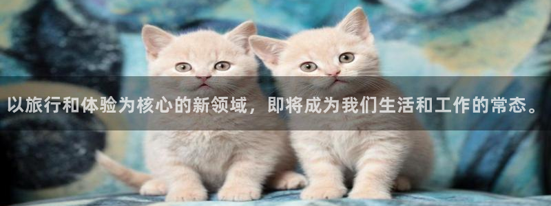 上海永利皇官汽车电子有限公司：以旅行和体验为核心的新领域，即将成为我们生活和工作的常态。