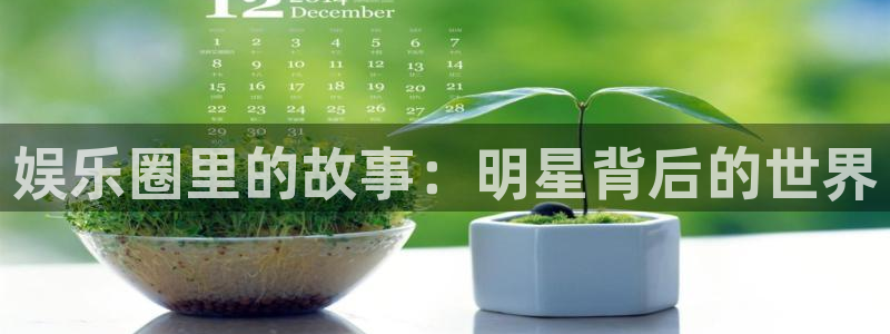 永利皇官4开户：娱乐圈里的故事：明星背后的世界