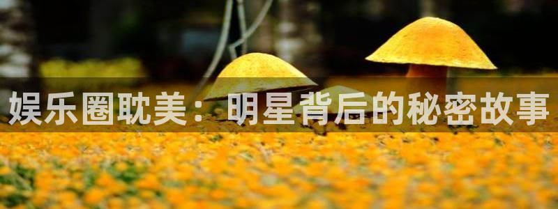 永利皇官2平台登录：娱乐圈耽美：明星背后的秘密故事