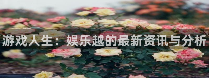 永利皇官4登录：游戏人生：娱乐越的最新资讯与分析