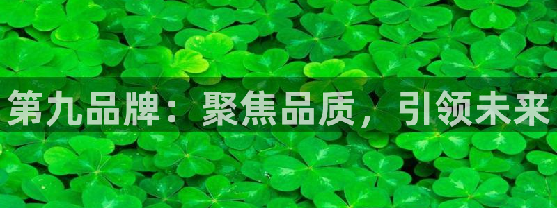 永利皇官f凯捷平台在线注册：第九品牌：聚焦品质，引领未来