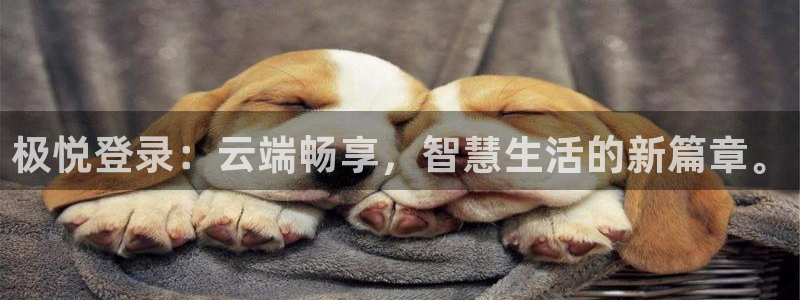 永利皇官平台总代理：极悦登录：云端畅享，智慧生活的新篇章。