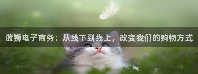 永利皇官体育娱乐注册链接：蓝狮电子商务：从线下到线上，改变我们的购物方式