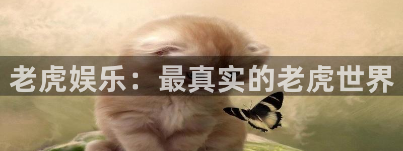 永利皇官体育用品：老虎娱乐：最真实的老虎世界