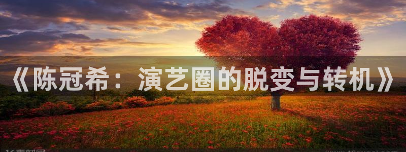 永利皇官4开户：《陈冠希：演艺圈的脱变与转机》