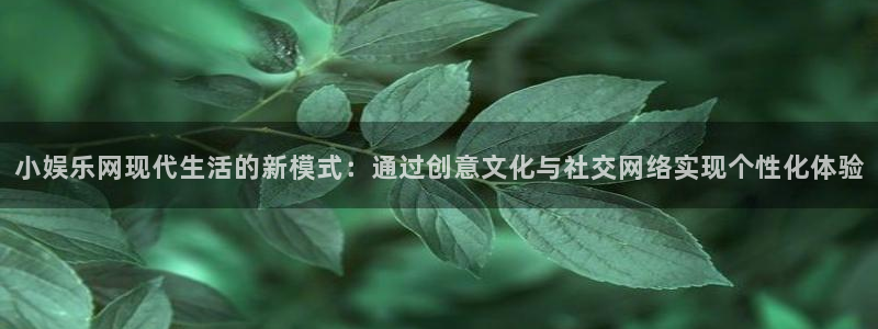 永利皇官登录：小娱乐网现代生活的新模式：通过创意文化与社交网络实现个性化体验