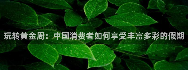 永利皇官3登陆：玩转黄金周：中国消费者如何享受丰富多彩的假期