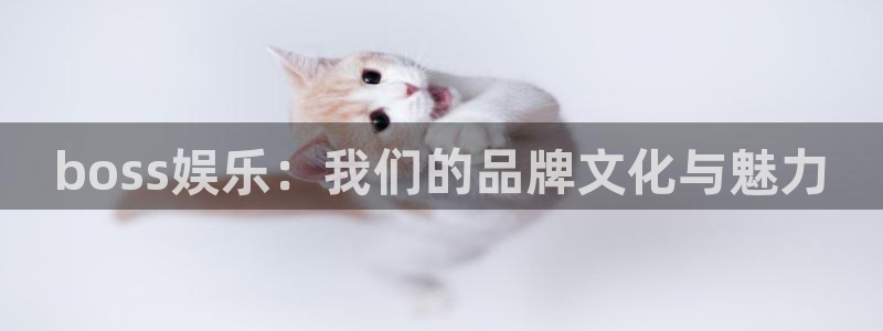 永利皇官2注册：boss娱乐：我们的品牌文化与魅力
