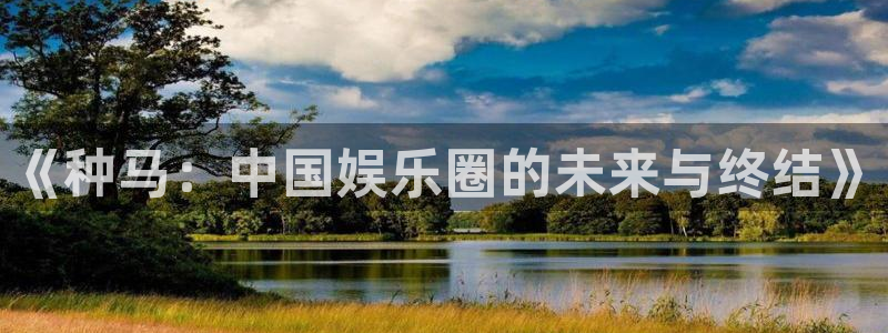 永利皇官vk：《种马：中国娱乐圈的未来与终结》